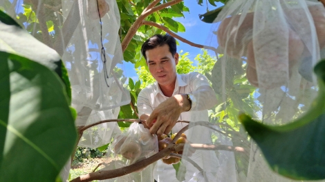 Sóc Trăng có 326 sản phẩm OCOP