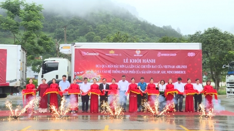 Mận hậu Sơn La tiếp tục lên các chuyến bay