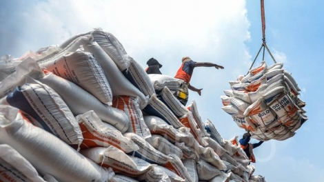 Indonesia: Thao túng chất lượng và giá cả gạo gây thiệt hại hàng tỷ đôla Mỹ cho người tiêu dùng