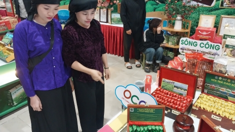 Thái Nguyên: Nghị quyết 57 nâng cao chất lượng cuộc sống người dân