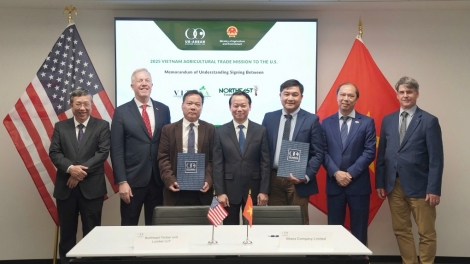 Thời sự 18h 8/6/2025: Việt Nam ký thỏa thuận nhập gần 3 tỷ USD nông sản từ Hoa Kỳ