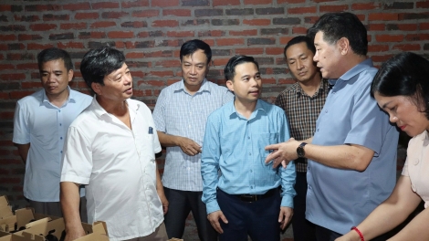 Khuyến nông quốc gia chuyển giao giống mới, mở rộng chuỗi tiêu thụ tại Hải Dương