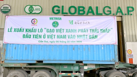 Gạo giảm phát thải vào thị trường quốc tế, khẳng định vị thế gạo Việt Nam. (24/06/2025)