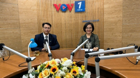 Vì sao tình trạng lừa đảo, chặt chém tại các bến xe vẫn chưa thể dẹp bỏ? 