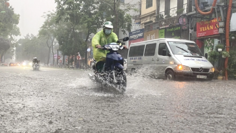 Dự báo thời tiết ngày 26/6/2025: Bắc Bộ có mưa có mưa rào và dông, cục bộ có mưa to