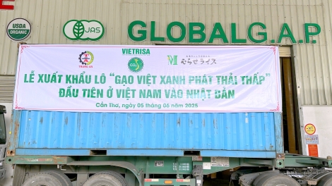 Xuất khẩu lô gạo phát thải thấp đầu tiên sang thị trường Nhật Bản