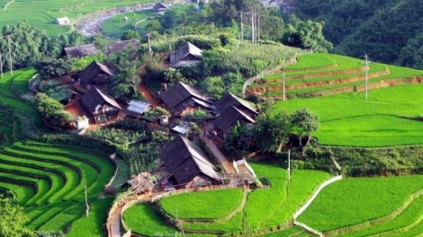 Liên kết vùng - Đòn bẩy gia tăng giá trị nông sản Tây Bắc (08/07/2025)