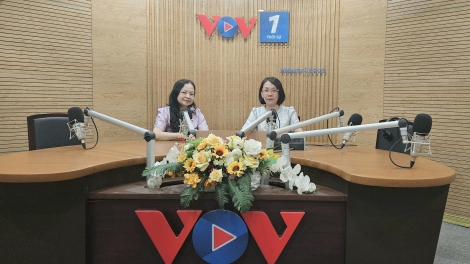 30 Việt Nam năm gia nhập ASEAN: Hành trình từ khởi đầu đến kiến tạo tương lai khu vực!