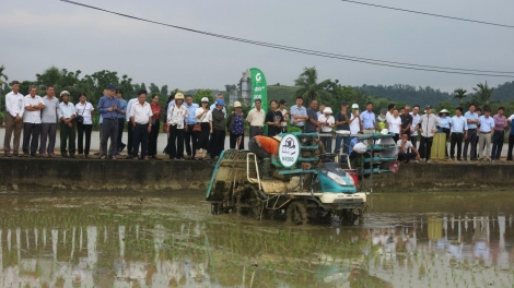 Hải Phòng: Cánh đồng công nghệ giải pháp đột phá trong sản xuất lúa