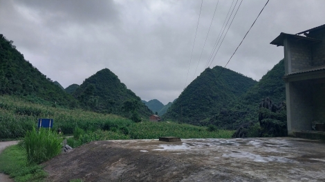 Tuyên Quang: Phòng chống tái trồng cây thuốc phiện tại các xã vùng biên