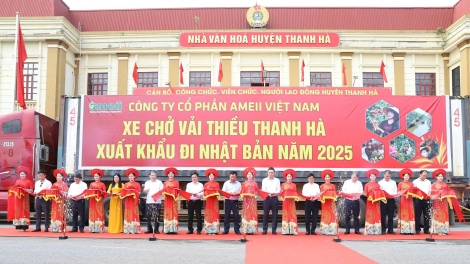 Xuất khẩu vải thiều Hải Dương: Hướng đến chất lượng và chuẩn quốc tế (5/6/2025)