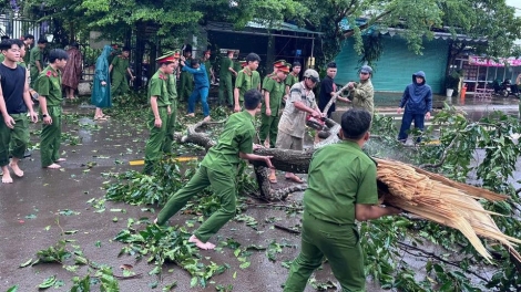 Cây xanh ngã đổ, nhà tốc mái do mưa gió tại Đồng Nai