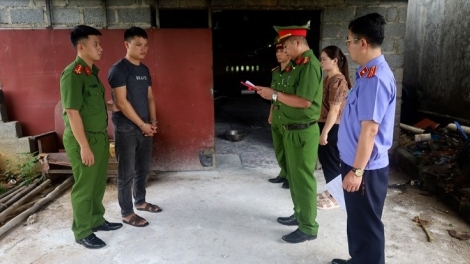 Lạng Sơn: Khởi tố 2 đối tượng giết mổ, tiêu thụ thịt lợn nhiễm bệnh