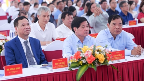 Ra mắt dây chuyền sản xuất bao bì giấy dành cho rau quả, thân thiện với môi trường
