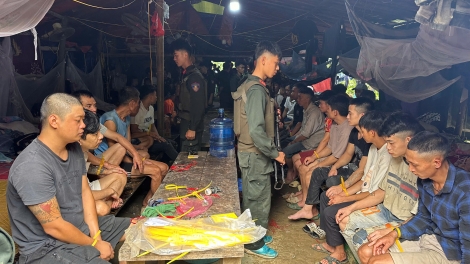 Xuyên rừng truy quét, bắt giữ gần 60 đối tượng “vàng tặc” ở Sơn La