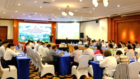 Dịch vụ hấp thụ và lưu giữ các bon của rừng: làm rõ quyền lợi chủ rừng và cơ chế thị trường các-bon