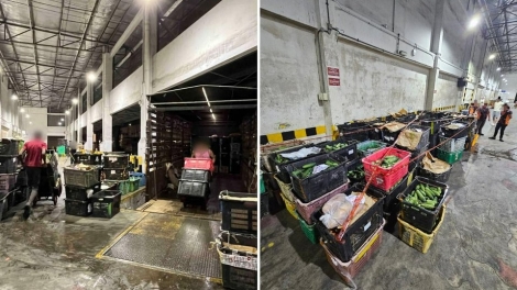 Singapore thu giữ 3 tấn rau quả nhập lậu từ Malaysia