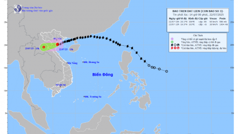 Bản tin 15h 22/7/2025