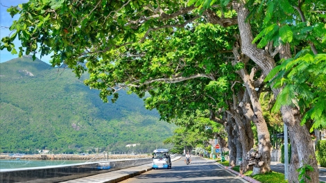 Theo dòng thời sự chiều 5/7/2025