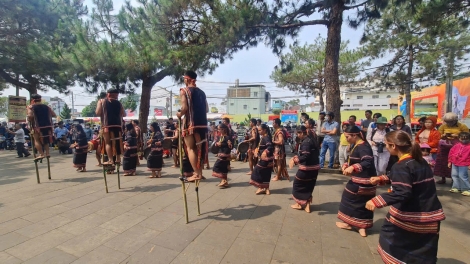 Lễ hội "Tinh hoa đại ngàn - Biển xanh hội tụ" sẽ diễn ra tại phố biển Quy Nhơn