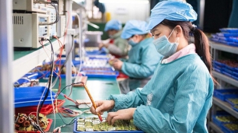 24 nghìn doanh nghiệp thành lập mới trong tháng 6 cho thấy niềm tin kinh doanh được củng cố mạnh mẽ