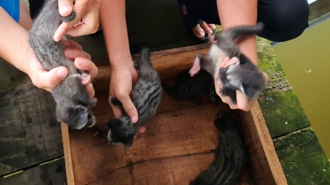 Cà Mau: Nhiều sai phạm trong thực hiện Chương trình giảm nghèo
