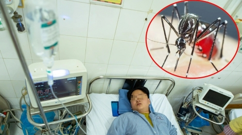 Theo dòng thời sự chiều 19/7/2025