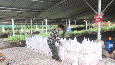 Giải pháp đẩy mạnh kinh tế tuần hoàn để Sơn La hướng đến một nền nông nghiệp xanh, và bền vững