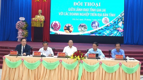 Gia Lai cam kết  cải cách mạnh mẽ và hỗ trợ doanh nghiệp