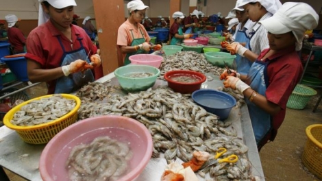 Thái Lan siết chặt quản lý lao động nước ngoài