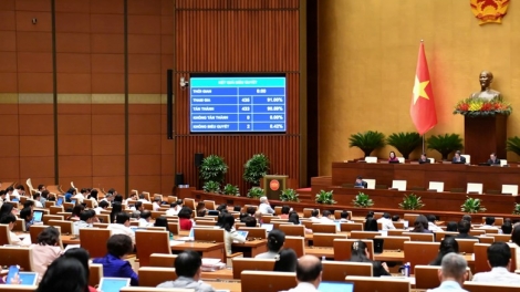 Luật Bảo vệ dữ liệu cá nhân: Ngăn chặn lừa đảo, tống tiền và mạo danh trên không gian mạng.