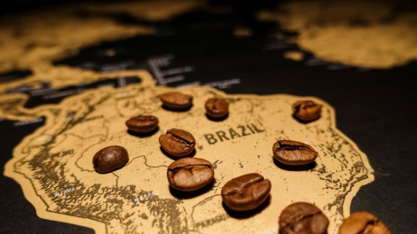 Cafe Brazil bứt phá