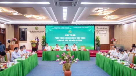 Phát triển nông nghiệp bền vững gắn với bảo vệ môi trường