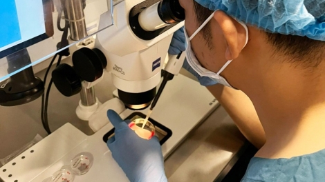 Đột phá về kỹ thuật thụ tinh trong ống nghiệm IVF mới ở Anh