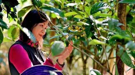 ThS Phạm Thị Lý - người theo đuổi các giải pháp khoa học cho nhà nông