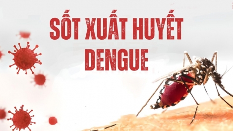 Sốt xuất huyết gia tăng, Bộ Y tế yêu cầu tăng cường phòng chống