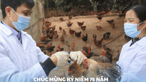 Thú y Việt Nam đóng góp quan trọng vào chuỗi giá trị nông nghiệp