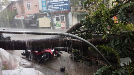  Giông lốc, mưa đá gây nhiều thiệt hại tại Cao Bằng