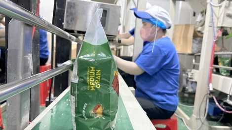 Kết nối doanh nghiệp của thành phố Cần Thơ với các thị trường xuất khẩu