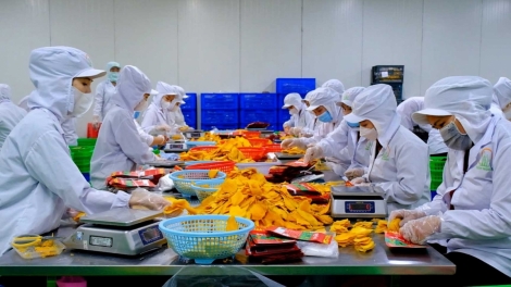 Chế biến sâu, tiêu chí xanh – điểm tựa nông sản phát triển bền vững (07/07/2025)