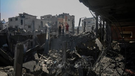 Thời sự 6h 13/8/2025: Nối lại các cuộc đàm phán ngừng bắn tại Gaza