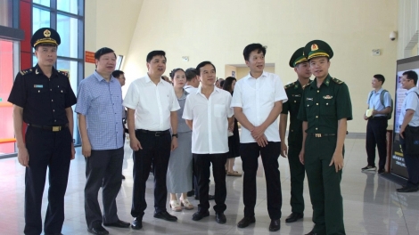 Bộ Y tế kiểm tra toàn tuyến phòng Chikungunya tại Lạng Sơn