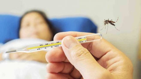 Sốt xuất huyết tăng 169%, TPHCM huy động toàn hệ thống y tế ứng phó