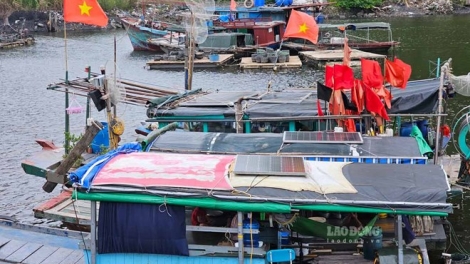 Bản tin 15h 18/8/2025