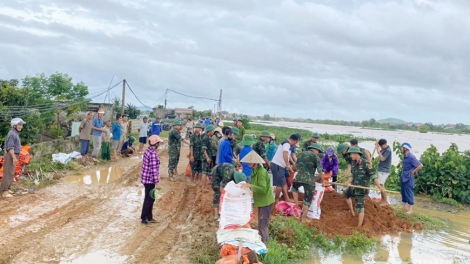 200 chiến sỹ gia cố đê sông Hoạt xã Hà Long (Thanh Hóa)