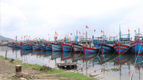 Bản tin 15h 24/8/2025