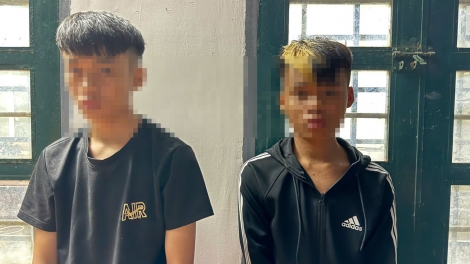 Hai anh em ở Đồng Nai bẻ khóa cửa hàng lấy trộm 14 điện thoại