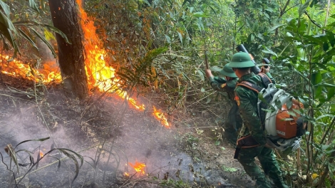 Kịp thời khống chế vụ cháy rừng phòng hộ tại tỉnh Quảng Trị