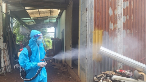 Ghi nhận gần 3.000 ca sốt xuất huyết, Đắk Lắk tăng tốc dập dịch