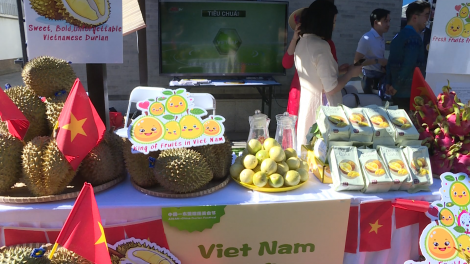 Sầu riêng các nước Đông Nam Á lần đầu tụ hội tại Bắc Kinh